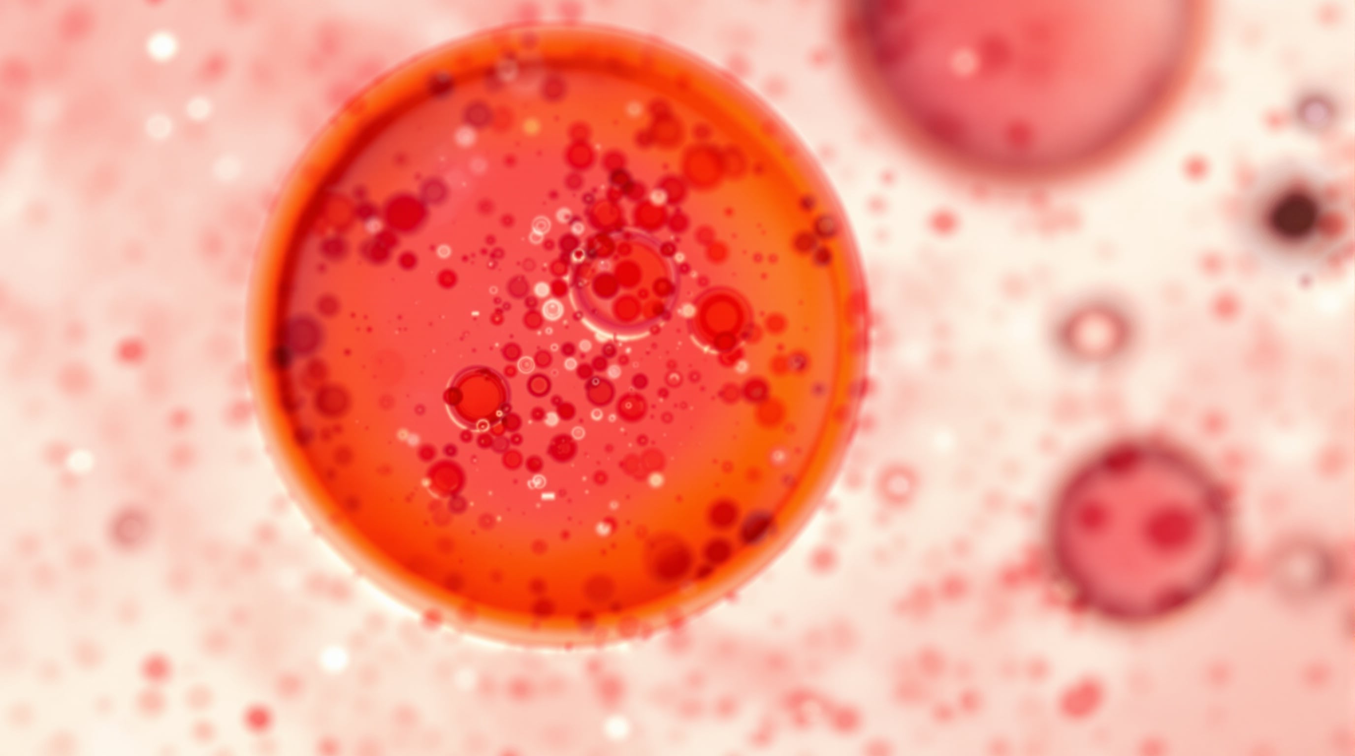 Microplastics in blood